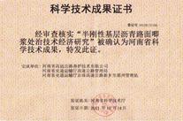 半剛性基層瀝青路面唧漿處治技術(shù)經(jīng)濟研究