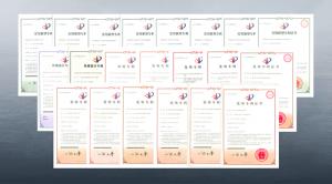 高遠(yuǎn)路業(yè)：234項(xiàng)專利助推企業(yè)發(fā)展